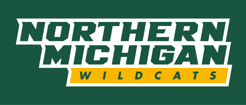 Northern Michigan Wildcats 2016-Pres Wordmark Logo iron on paper